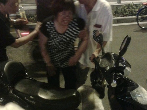 狗狗闯红灯被撞 所幸只是轻伤赔千元