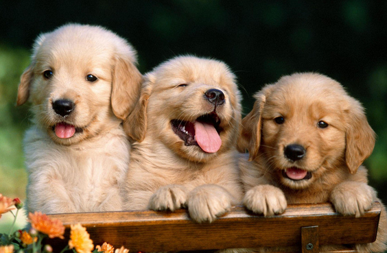 undefined{{pos:,w:,h:}}