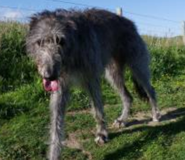 undefined{{pos:,w:,h:}}