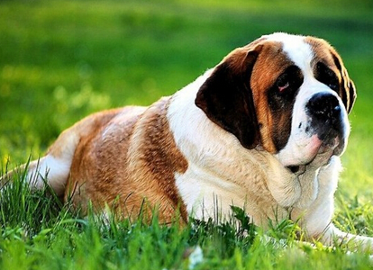 undefined{{pos:,w:,h:}}