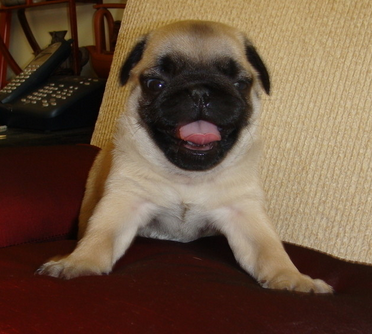 undefined{{pos:,w:,h:}}