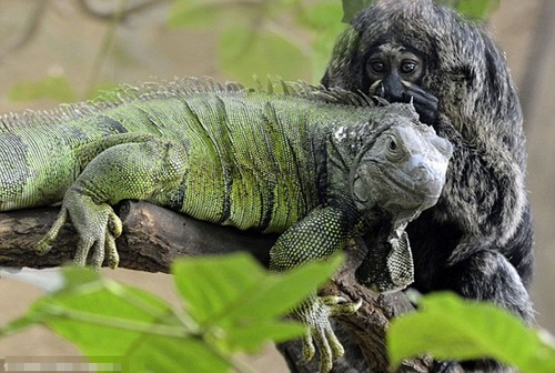 undefined{{pos:,w:,h:}}