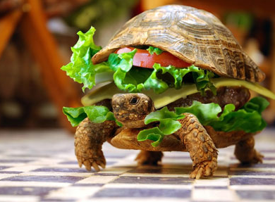 undefined{{pos:,w:,h:}}