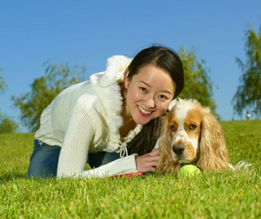 狗狗闯红灯被撞 所幸只是轻伤赔千元