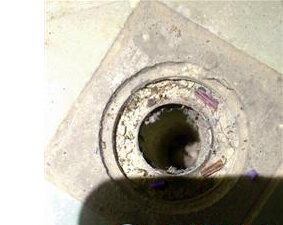 幼猫被困排水孔 热心学生爬高营救