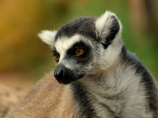 undefined{{pos:,w:,h:}}