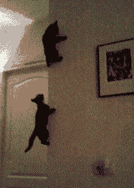 尼玛 没看见我在倒车啊