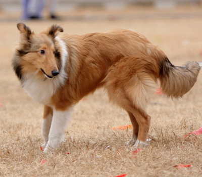 undefined{{pos:,w:,h:}}