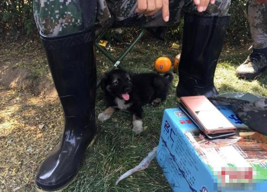 undefined{{pos:,w:,h:}}