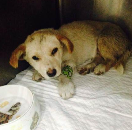 undefined{{pos:,w:,h:}}