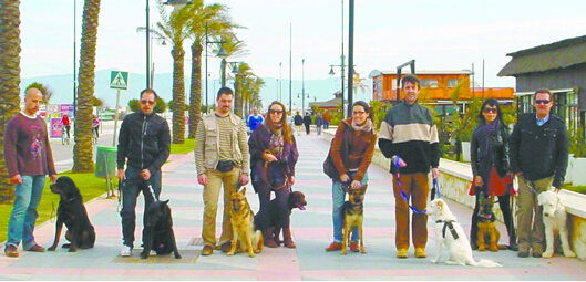 爱犬人士以狗为媒举办免费婚姻介绍所　