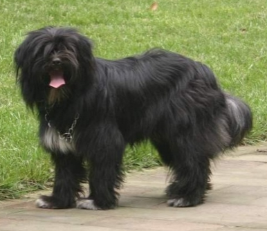 undefined{{pos:,w:,h:}}