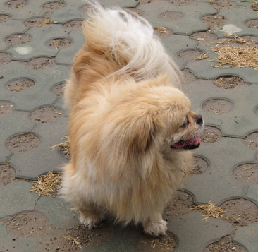 undefined{{pos:,w:,h:}}