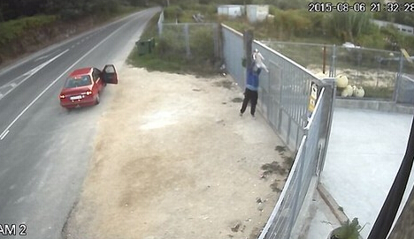 男子弃狗竟将狗抛过围墙 可怜狗狗险摔死