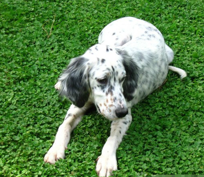 undefined{{pos:,w:,h:}}