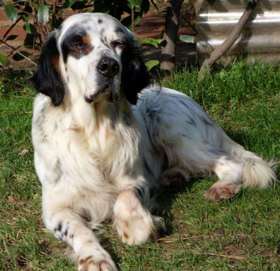 undefined{{pos:,w:,h:}}