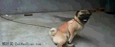 姿势优美 动作难看