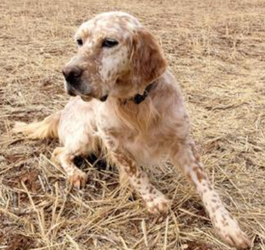 undefined{{pos:,w:,h:}}