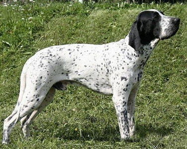 undefined{{pos:,w:,h:}}