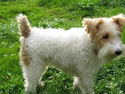 undefined{{pos:,w:,h:}}