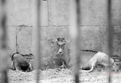 undefined{{pos:,w:,h:}}