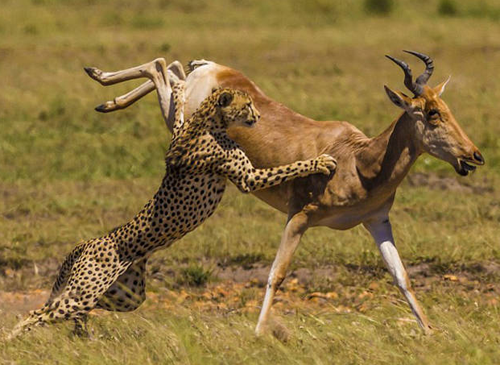 undefined{{pos:,w:,h:}}