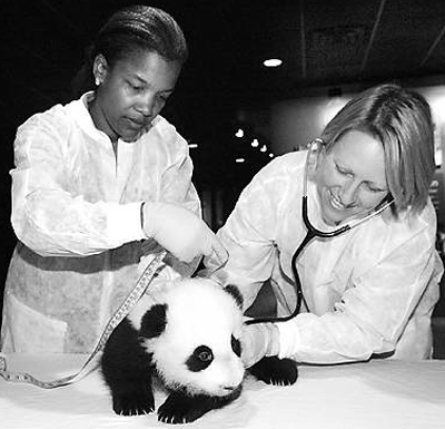 undefined{{pos:,w:,h:}}