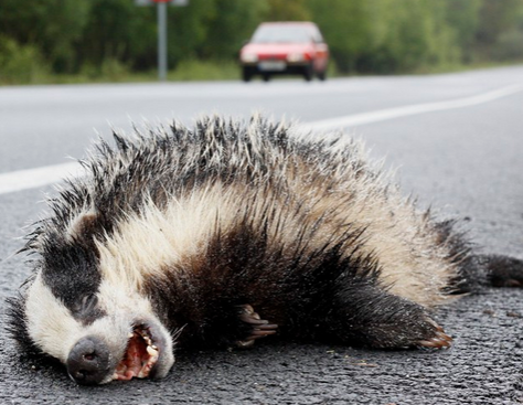 undefined{{pos:,w:,h:}}