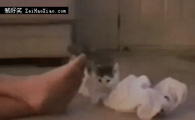 我勒个去 熏死我了