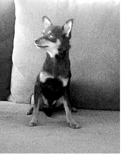 undefined{{pos:,w:,h:}}