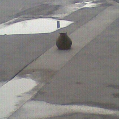 还以为是哪个食堂把大瓦罐摆在路中间了。原来是只猫