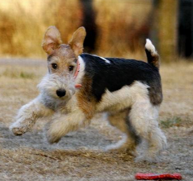 undefined{{pos:,w:,h:}}