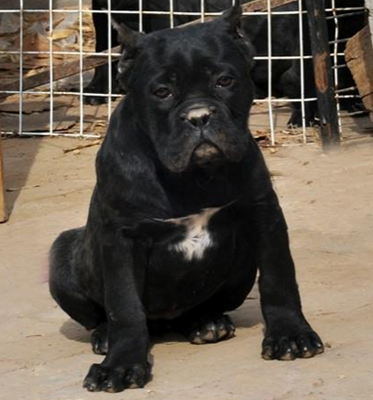 undefined{{pos:,w:,h:}}