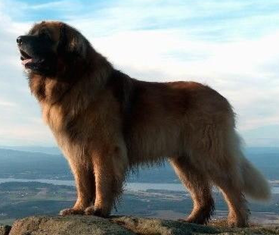 undefined{{pos:,w:,h:}}