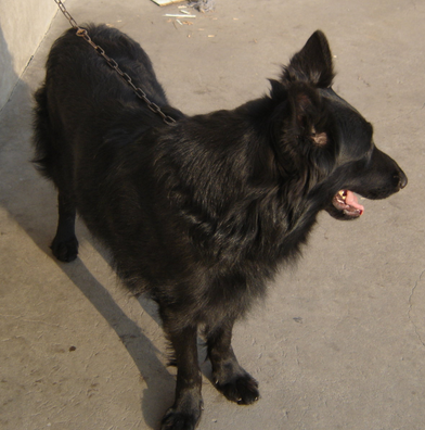 undefined{{pos:,w:,h:}}