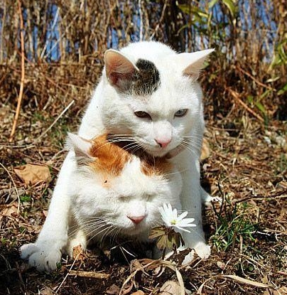 偶给你挡太阳，别晒黑了