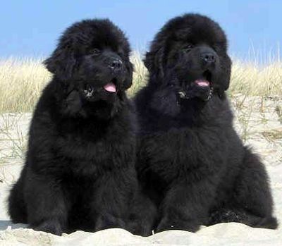 undefined{{pos:,w:,h:}}