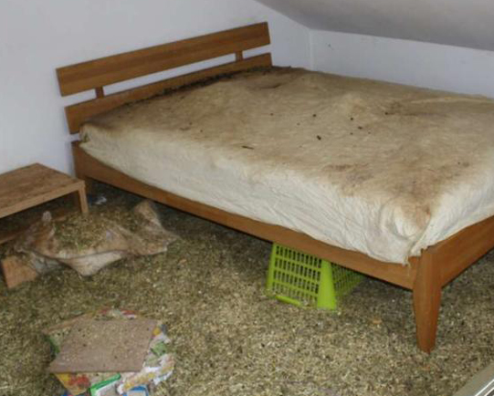 undefined{{pos:,w:,h:}}