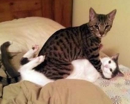 不好意思，你们继续