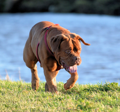 undefined{{pos:,w:,h:}}