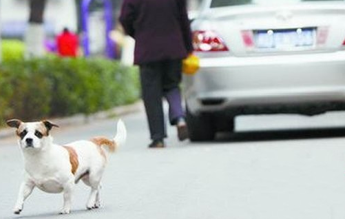 undefined{{pos:,w:,h:}}