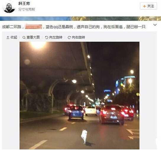 瘸腿小狗“被遗弃”引热议 当事人出面发言