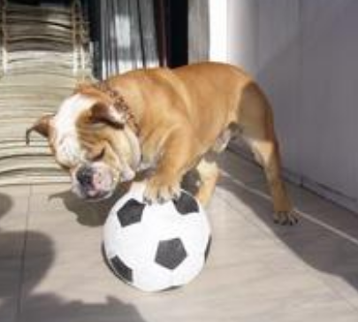 undefined{{pos:,w:,h:}}