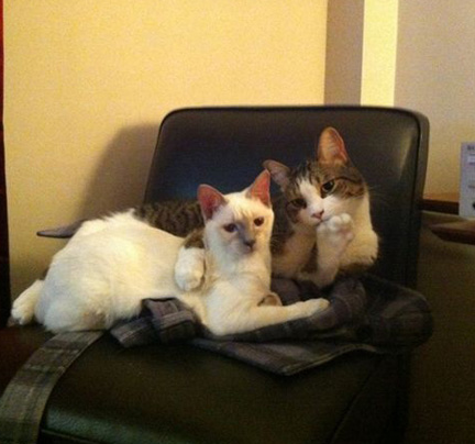 亲，这个电视节目看着真不赖。