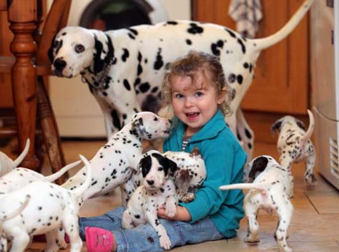 undefined{{pos:,w:,h:}}