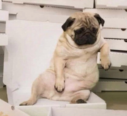 undefined{{pos:,w:,h:}}