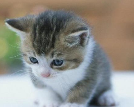 undefined{{pos:,w:,h:}}