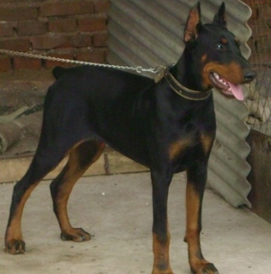 undefined{{pos:,w:,h:}}