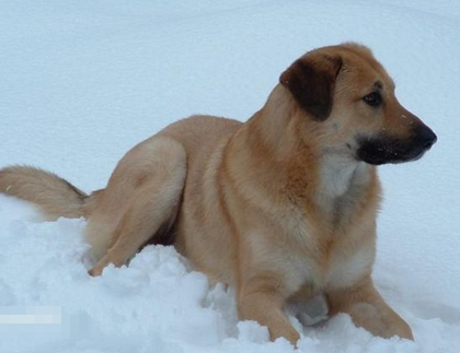 undefined{{pos:,w:,h:}}