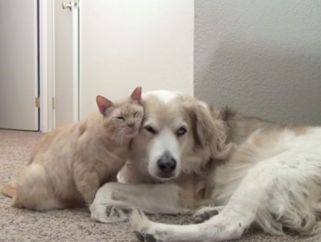 undefined{{pos:,w:,h:}}